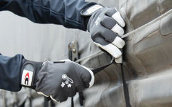 Γάντια Ψύχους Cofra Coldext white/grey