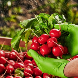 Γάντια Μιας Χρήσης Νιτριλίου Mercator Gogrip green 50τμχ