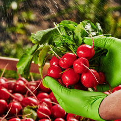 Γάντια Μιας Χρήσης Νιτριλίου Mercator Gogrip green 50τμχ