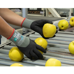 Γάντια Νιτριλίου με κουκίδες Cofra Phoenix Fit